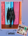 ACOTAR inspired Rhysand Bookshelf Boyfriend